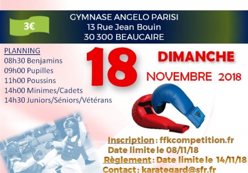 Championnat départemental KUMITE & Coupe départementale KATA Masculin - Féminin